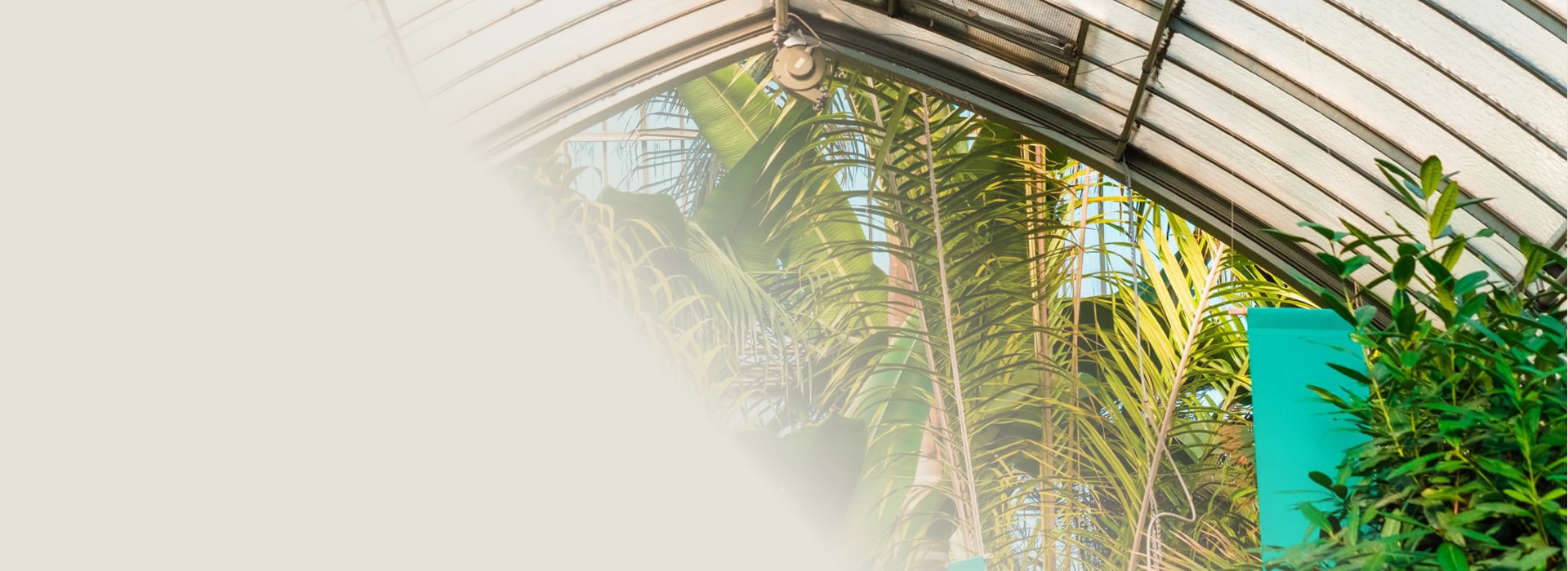 Professional/�Environmental/ Consultancy/�Services